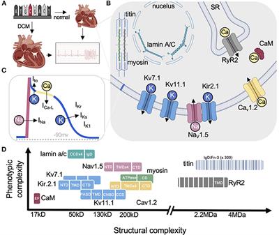 How Functional Genomics Can Keep Pace With VUS Identification